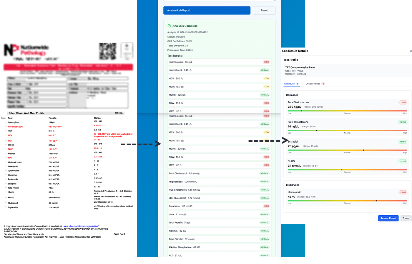 Blood Test Analyzer Dashboard showing complete TRT biomarker analysis with AI-powered insights